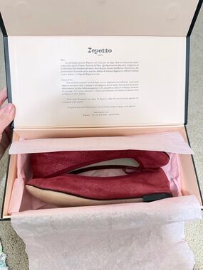 Repetto Burgundy Suede Ballet Flats
